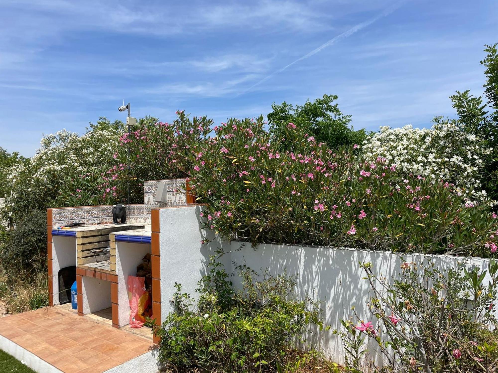 Casa Vista Dos Cerros Villa Loule Exterior photo
